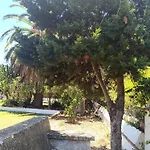 Ilusion Tacoronte