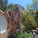 Ilusion Appartement Tacoronte
