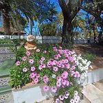 Ilusion Appartement Tacoronte