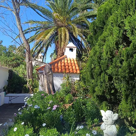 Apartament Ilusion Tacoronte