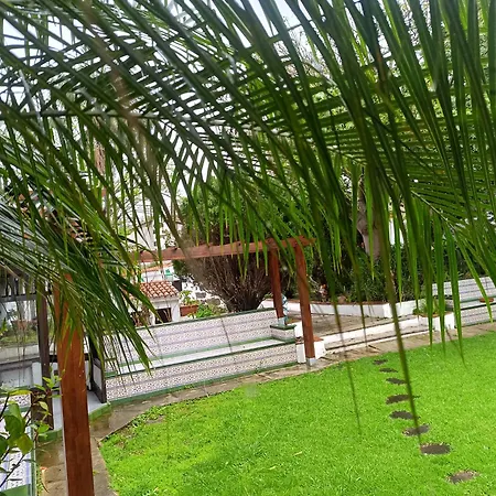 Ilusion Apartament Tacoronte