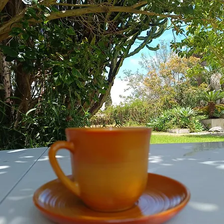 Ilusion Διαμέρισμα *