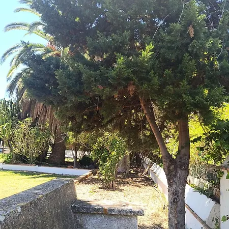 Ilusion Tacoronte