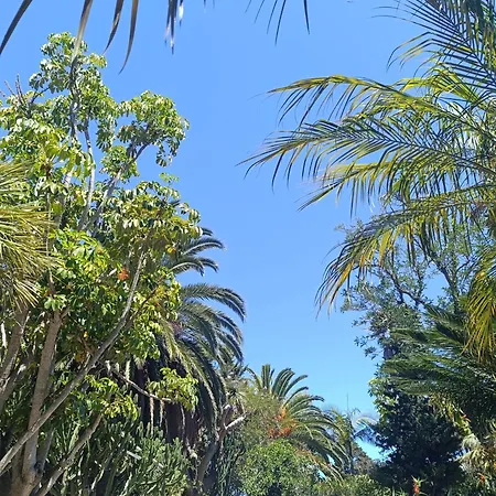 Ilusion Διαμέρισμα