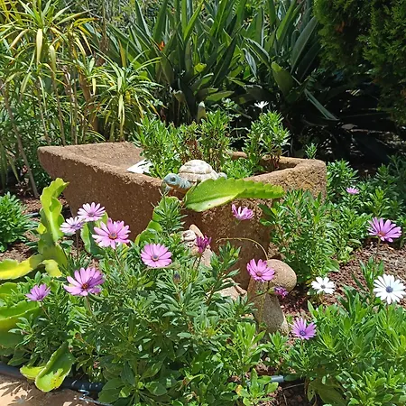 アパート Ilusion