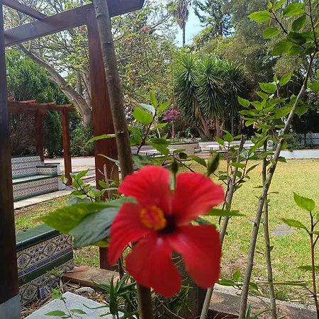 Διαμέρισμα Ilusion *