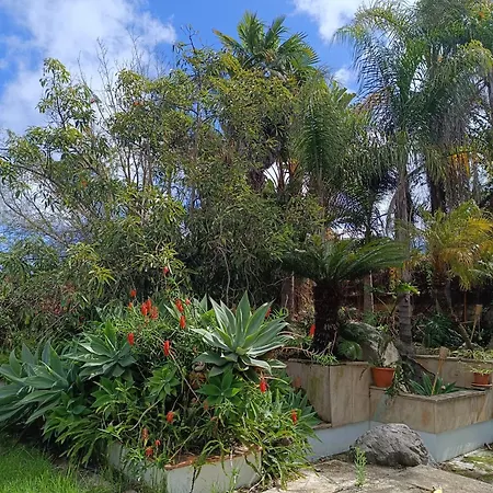 Διαμέρισμα Ilusion *