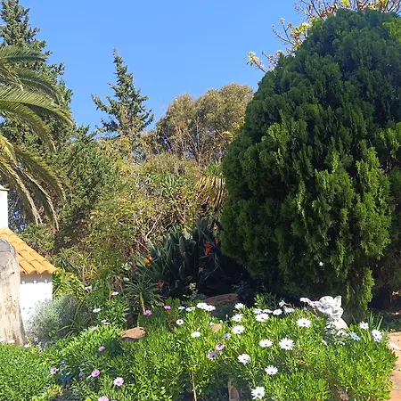 Ilusion Διαμέρισμα