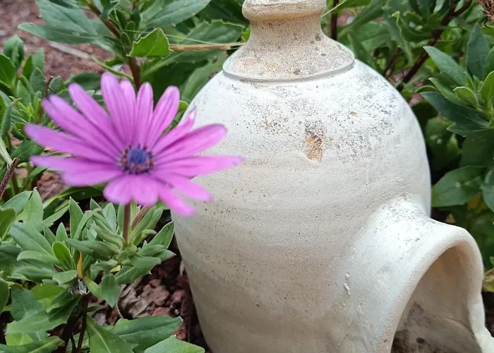 דירה Ilusion טקורונטה