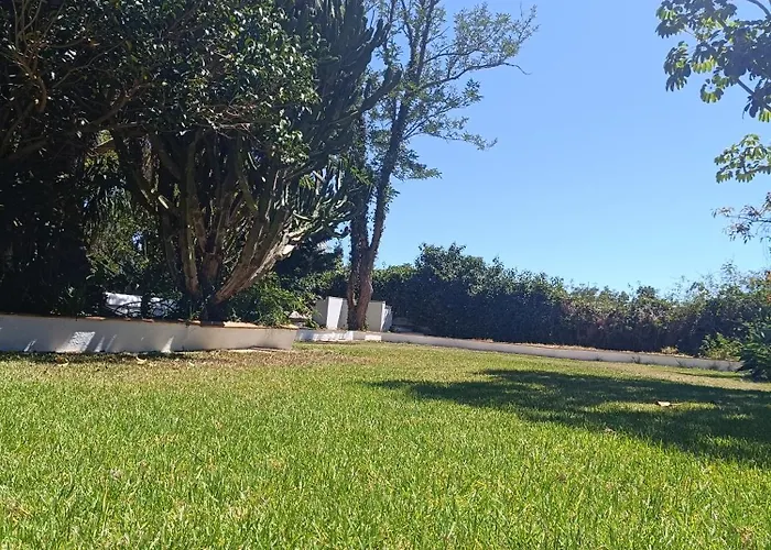 Ilusion Tacoronte