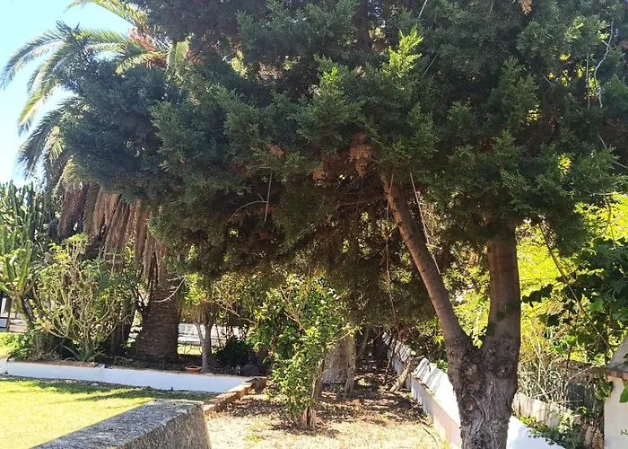 Ilusion טקורונטה