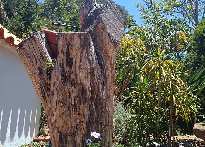 Ilusion דירה טקורונטה