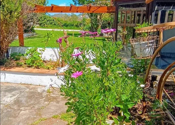 Ilusion טקורונטה