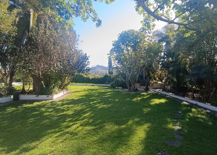 Ilusion טקורונטה