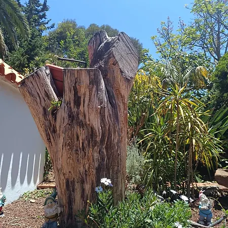 Ilusion Appartement Tacoronte