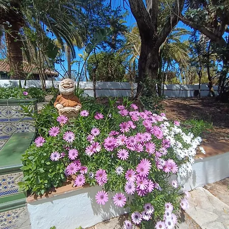 Ilusion Appartement Tacoronte